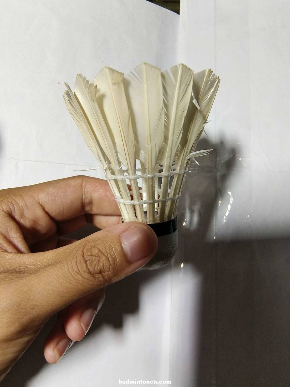 赢鹰66号 赢鹰M16 羽毛球 其它品牌Other 中羽在线 badmintoncn.com